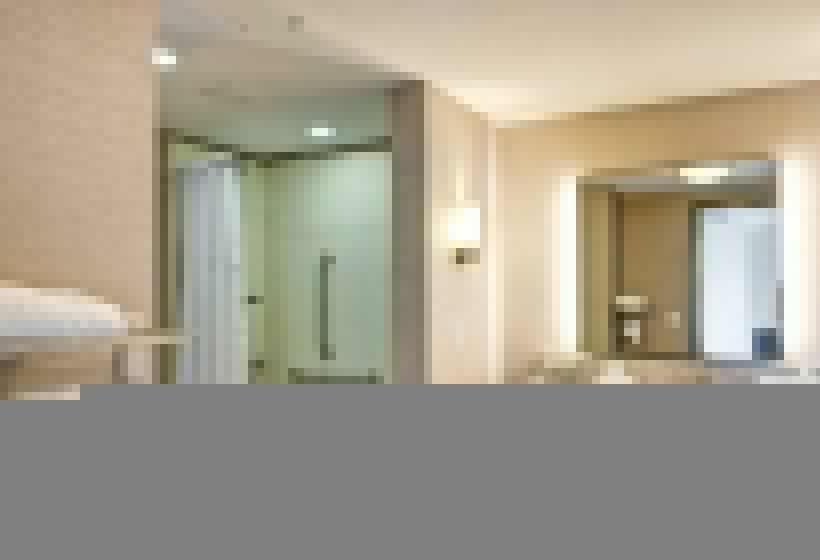 Люкс Кровать Кинг, Homewood Suites By Hilton Christiansburg