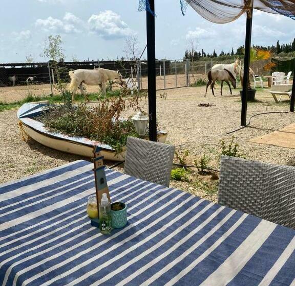 デラックスルーム, Finca Caballito De Mar