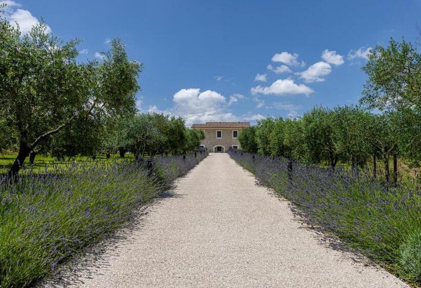Люкс Superior, Tenuta Fogliani Resort & Natural Spa