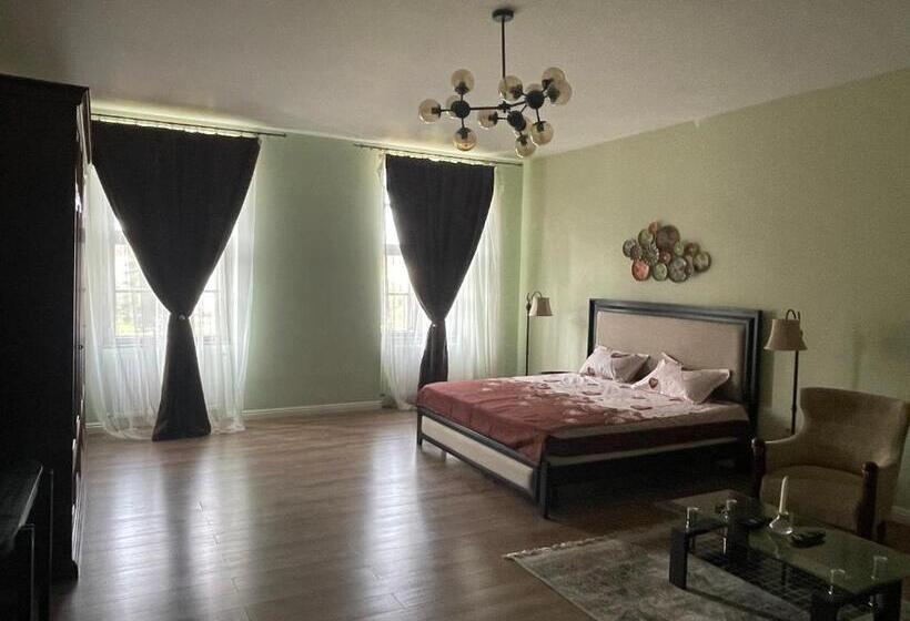 آپارتمان سوپریور 1 خوابه, Cozyflat In The Central Arad