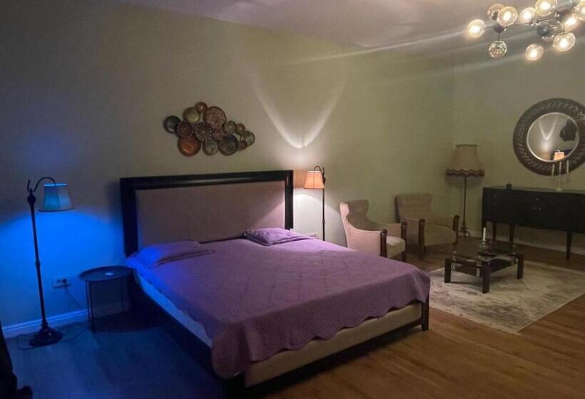 آپارتمان سوپریور 1 خوابه, Cozyflat In The Central Arad