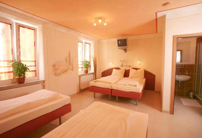 Номер Стандарт, Stadthotel Passau