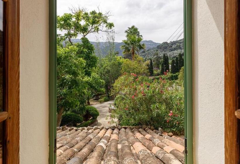 스탠다드 룸 산 전망, Finca Can Coll Boutique Country House   Adults Only