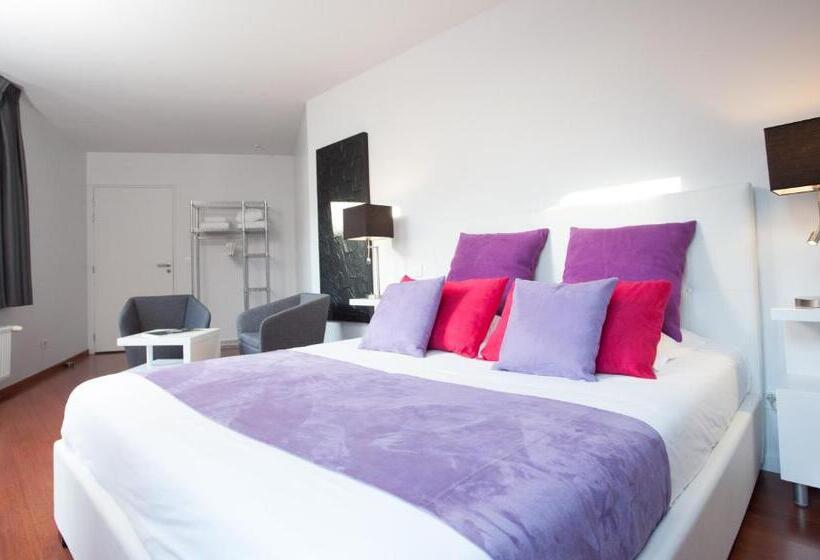 اتاق سوپریور یک تخته, L Esplanade Lille