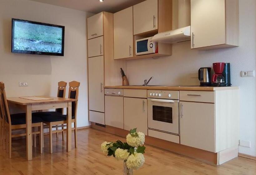 Апартаменты 1 Спальня с Балконом, Residence Klementhof
