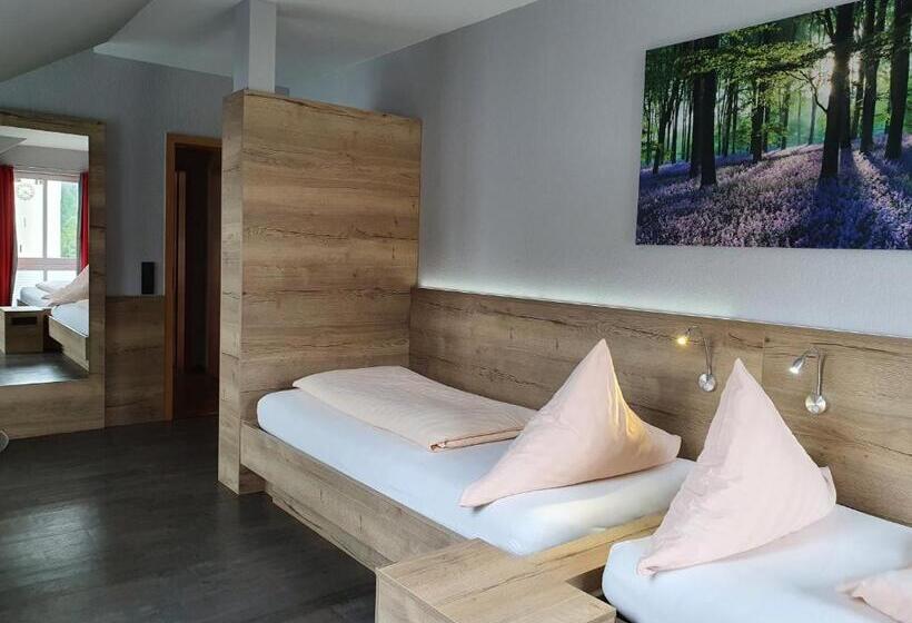 Апартаменты 1 Спальня, Bigger Hof   Wirtshaus Platzhirsch Am Jahnplatz