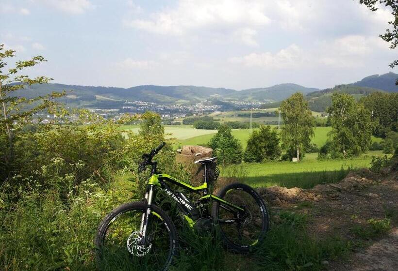 Номер Стандарт, Bigger Hof   Wirtshaus Platzhirsch Am Jahnplatz