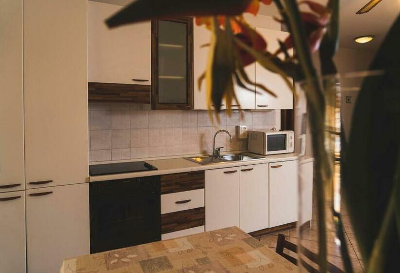 Апартаменты 1 Спальня, Residence Desiree