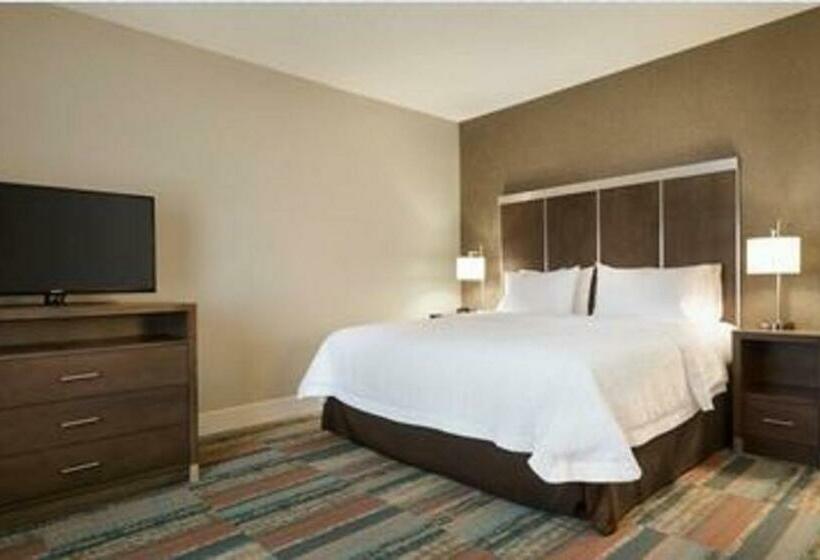 اتاق استاندارد با تخت بزرگ, Hampton Inn Elko