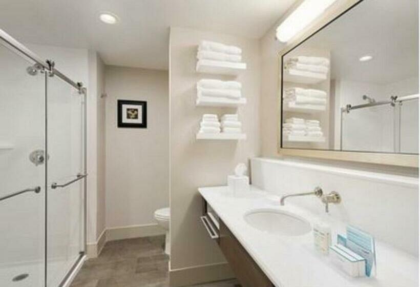 اتاق استاندارد با تخت بزرگ برای معلولان, Hampton Inn Elko