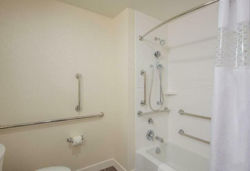 장애인을 위한 킹사이즈 침대 스탠다드 룸, Hampton Inn & Suites Phoenix East Mesa