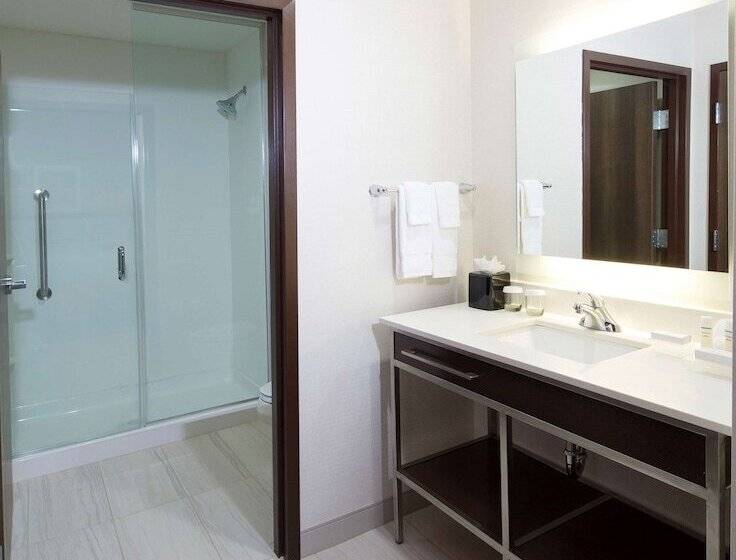 Студио Стандарт Кровать Кинг, Homewood Suites By Hilton Houston / Katy Mills Mall