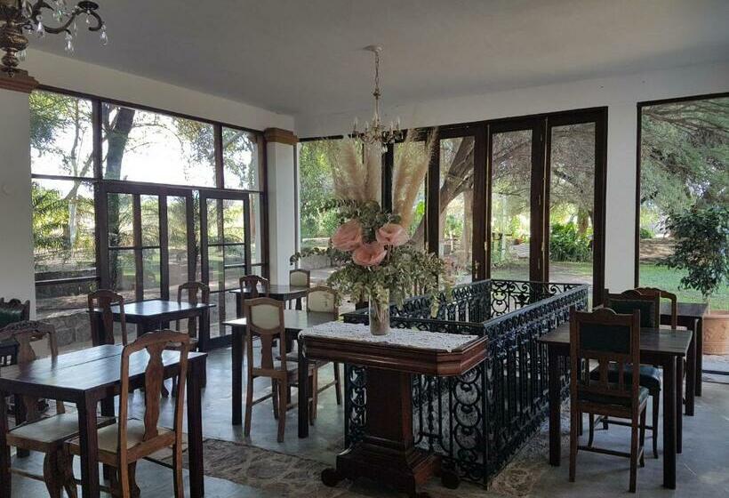 标准间, Posada Del Olivo