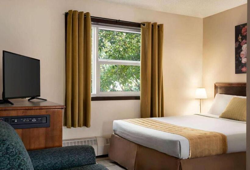 Студия Стандарт, Thriftlodge Edmonton