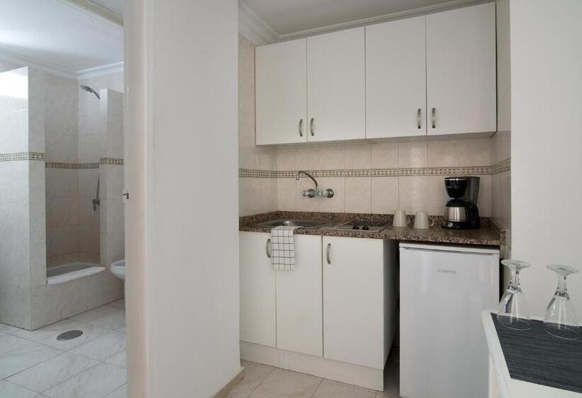 חדר סטודיו סטנדרד, Aparthotel Idafe