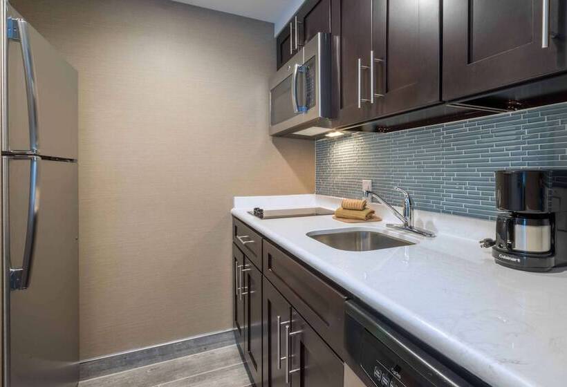 Люкс, Homewood Suites By Hilton Philadelphia Plymouth Meeting