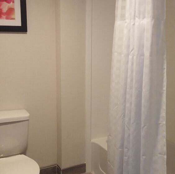 Люкс Адаптированный для Инвалидов, Homewood Suites By Hilton Philadelphia Plymouth Meeting
