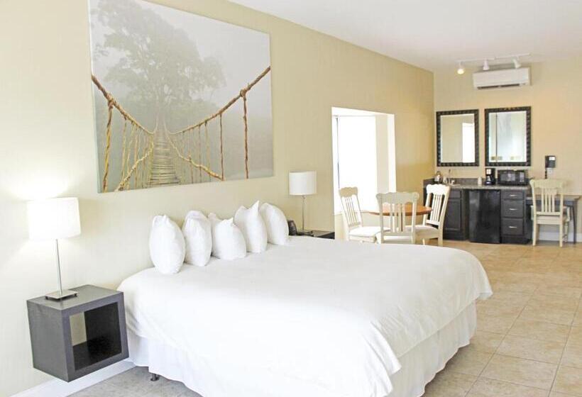 2 Bedroom Suite with Balcony, The Citrus On The Lake