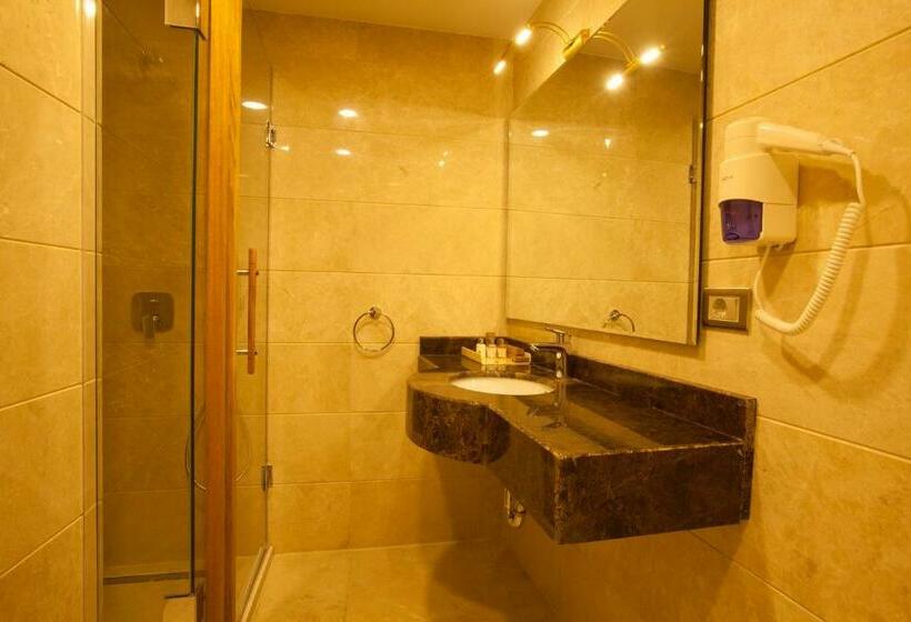 Номер Deluxe, Beethoven Hotel   Special Category