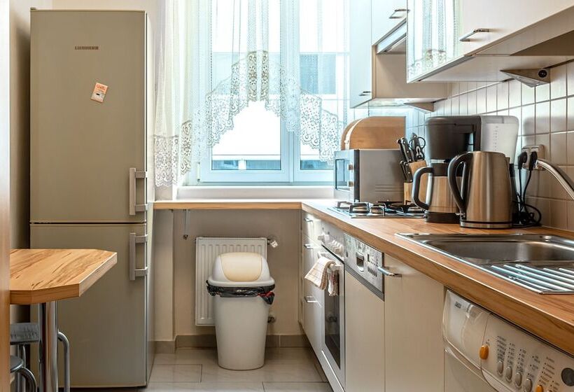 آپارتمان 1 خوابه, Central Apartments Vienna