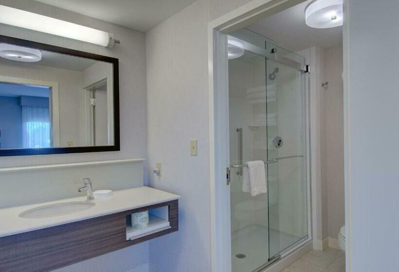 Студия Стандарт, Hampton Inn Boston  Westborough