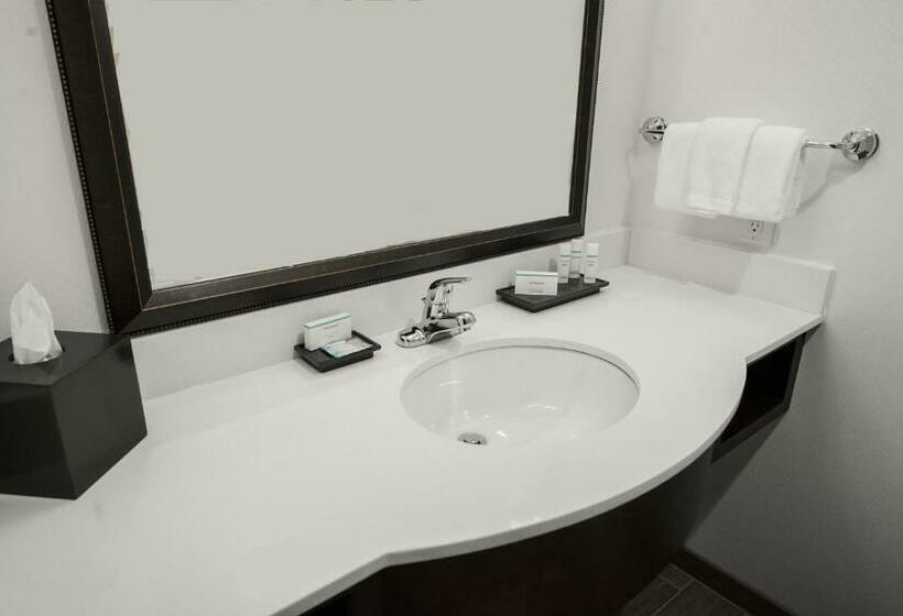 장애인을 위한 킹사이즈 침대 스탠다드 룸, Hilton Garden Inn Indiana At Iup