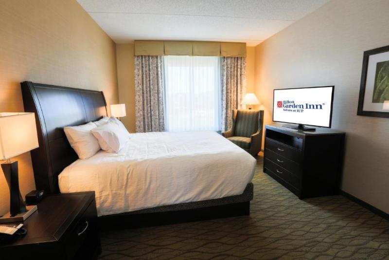 스탠다드 룸 킹사이즈 침대, Hilton Garden Inn Indiana At Iup