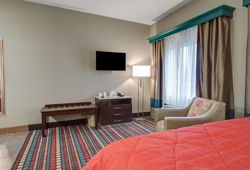 Люкс Адаптированный для Инвалидов, Mainstay Suites Hobbs