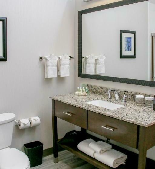 Номер Стандарт, Holiday Inn & Suites Denver Tech Center Centennial, An Ihg