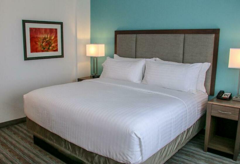 Стандартный Номер Кровать Кинг, Holiday Inn & Suites Denver Tech Center Centennial, An Ihg