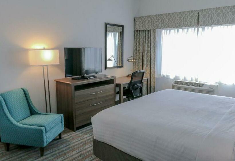 Стандартный Номер Кровать Кинг, Holiday Inn & Suites Denver Tech Center Centennial, An Ihg