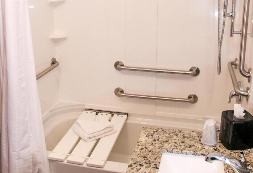 Стандартный Номер Кровать Кинг, Holiday Inn & Suites Denver Tech Center Centennial, An Ihg
