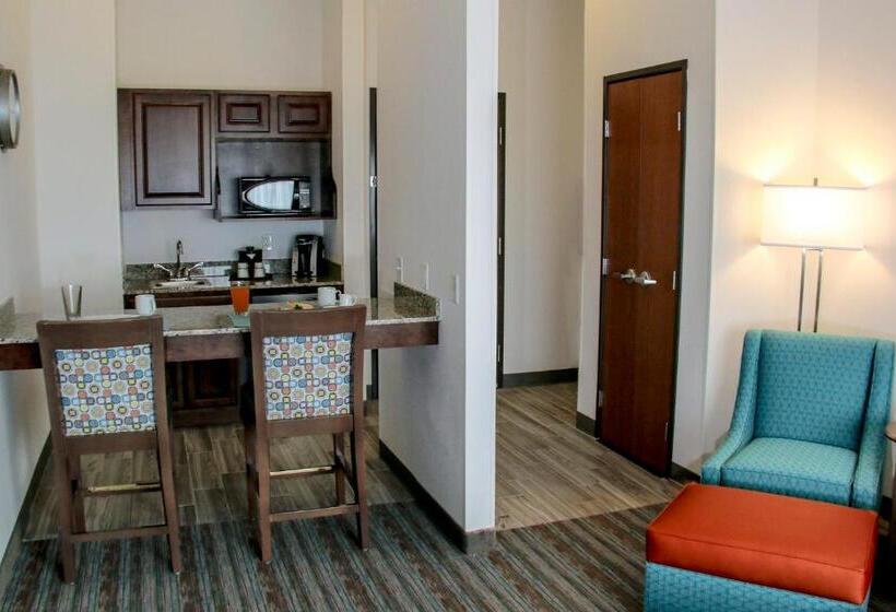 Президентский Люкс, Holiday Inn & Suites Denver Tech Center Centennial, An Ihg