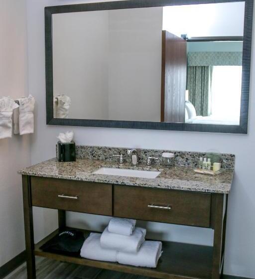 이그제큐티브 스위트, Holiday Inn & Suites Denver Tech Center Centennial, An Ihg