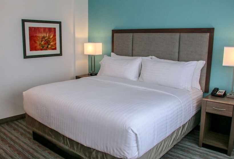 Люкс Адаптированный для Инвалидов, Holiday Inn & Suites Denver Tech Center Centennial, An Ihg