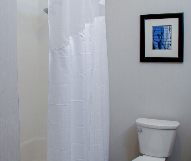 스탠다드 룸, Holiday Inn & Suites Denver Tech Center Centennial, An Ihg