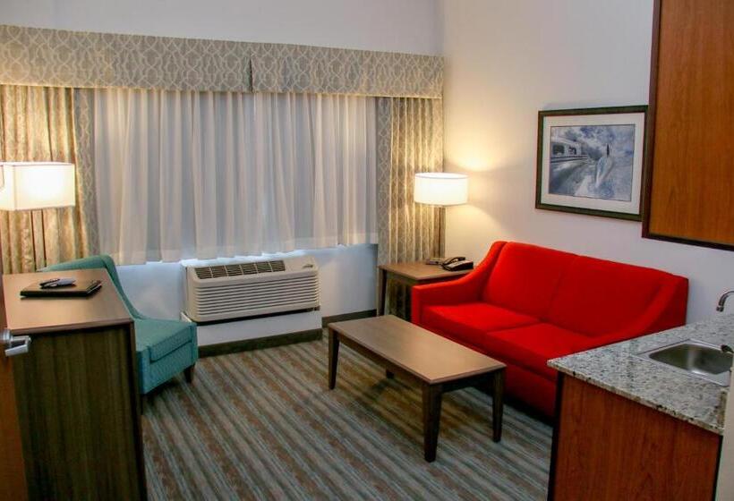 Люкс Адаптированный для Инвалидов, Holiday Inn & Suites Denver Tech Center Centennial, An Ihg