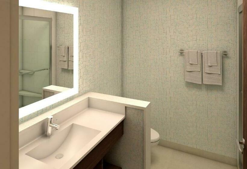 Номер Стандарт, Holiday Inn Express & Suites Omaha Airport, An Ihg