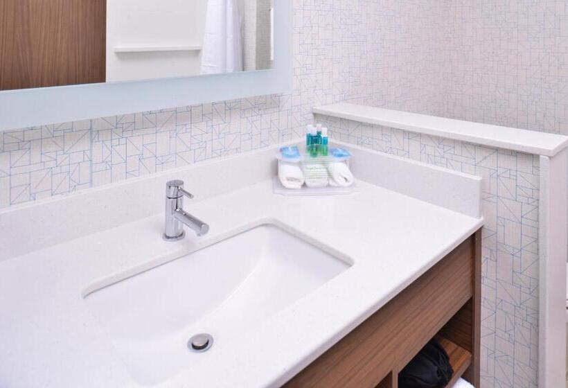 Номер Стандарт Адаптированный для Инвалидов, Holiday Inn Express & Suites Omaha Airport, An Ihg