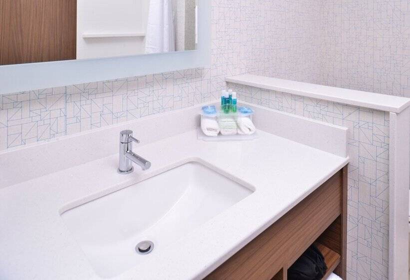 Номер Стандарт, Holiday Inn Express & Suites Omaha Airport, An Ihg