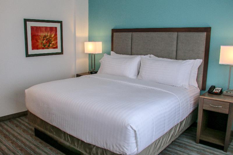 Номер Стандарт Кровать Кинг Адаптированный для Инвалидов, Holiday Inn & Suites Denver Tech Center Centennial, An Ihg
