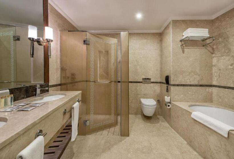 패밀리 스위트, Akrones Thermal Spa Convention