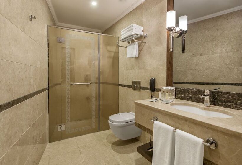 패밀리 스위트, Akrones Thermal Spa Convention