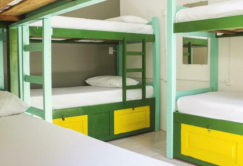 تختخواب در اتاق مشترک, Che Lagarto Hostel Morro De Sao Paulo