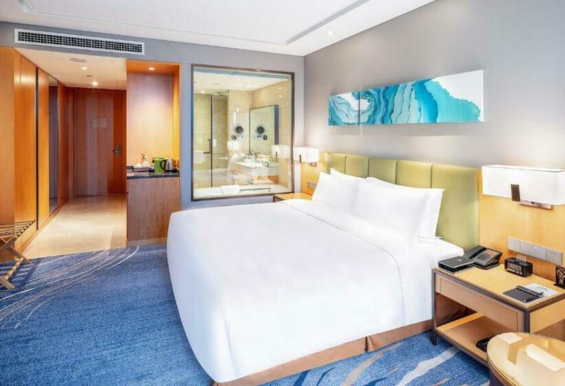 Стандартный Номер Кровать Кинг, Holiday Inn Neijiang Riverside, An Ihg