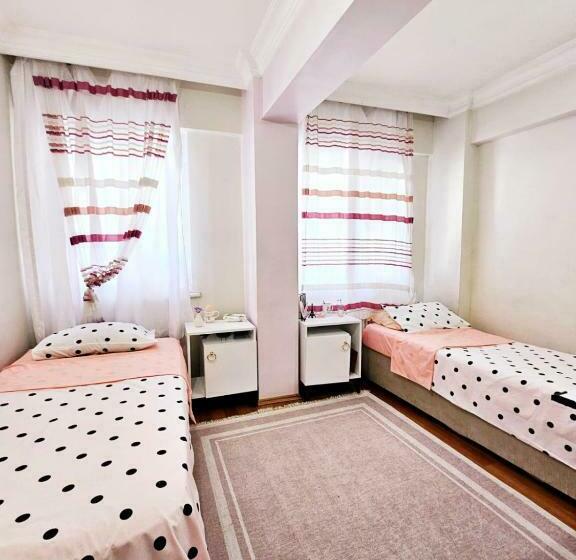 标准间, Clover Flower House Only For Females Zeyti̇nburnu