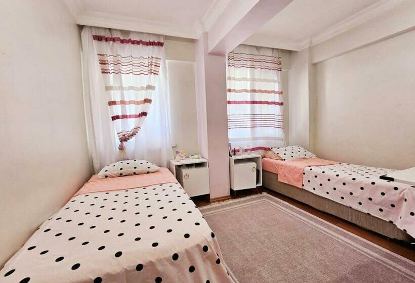 标准间, Clover Flower House Only For Females Zeyti̇nburnu