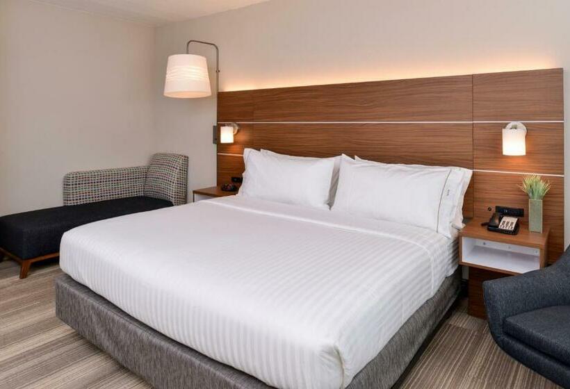 스탠다드 룸 킹사이즈 침대, Holiday Inn Express & Suites Trinity, An Ihg