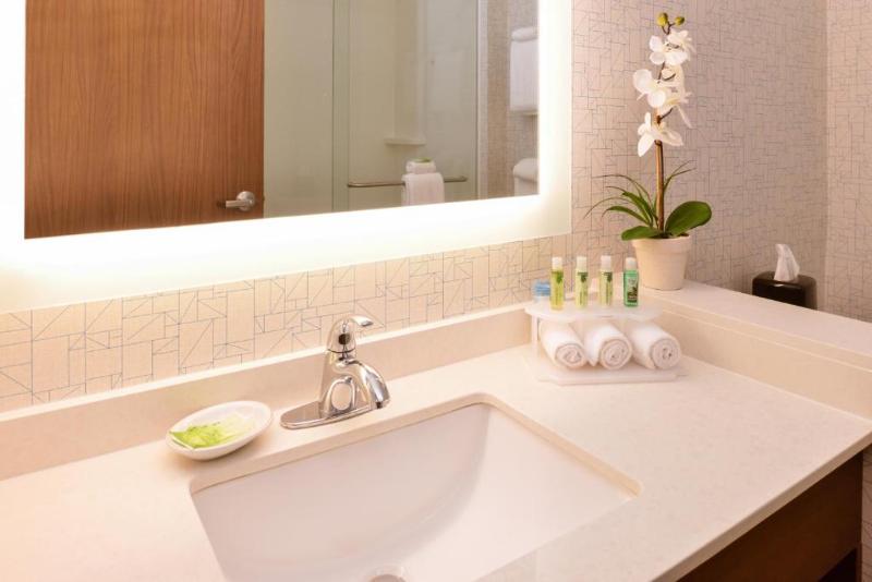 장애인을 위한 킹사이즈 침대 스탠다드 룸, Holiday Inn Express & Suites Trinity, An Ihg