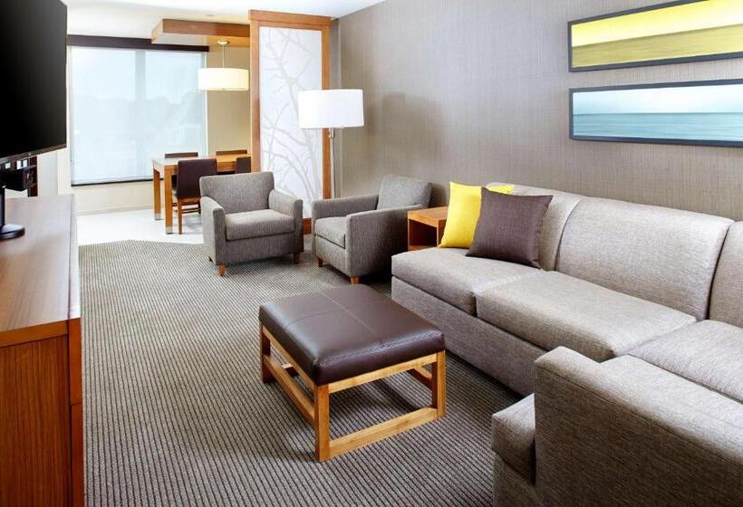 Номер Стандарт Кровать Кинг Адаптированный для Инвалидов, Hyatt Place Cleveland/lyndhurst/legacy Village